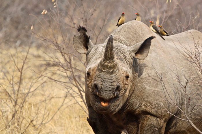 Pictures of the Month – October 2014 - Africa Geographic