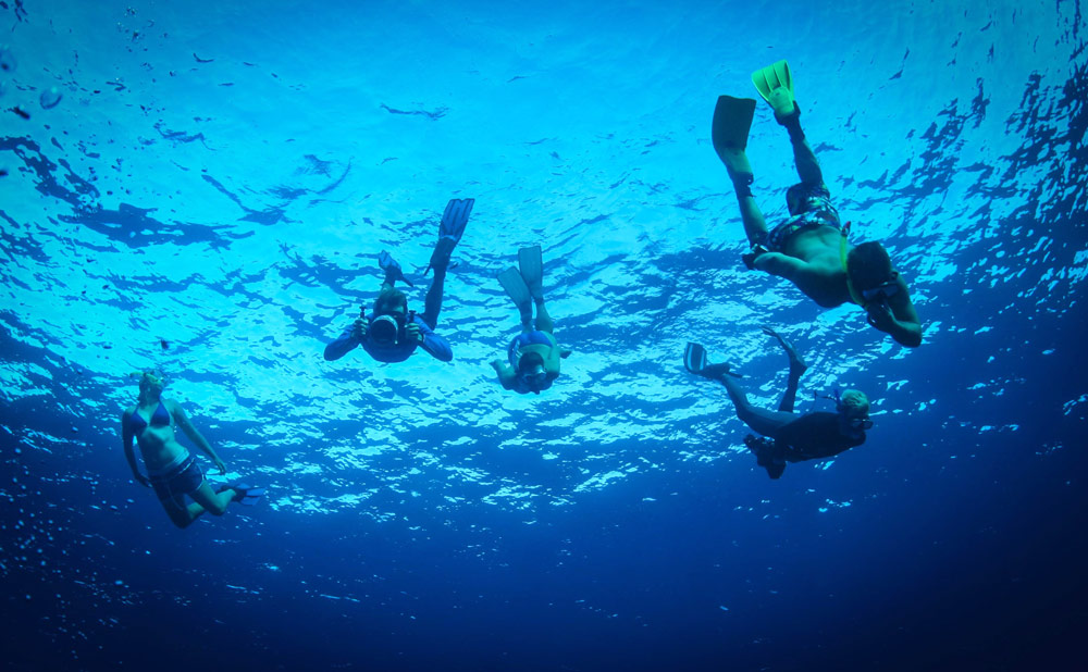 East-african-coral-reef-diving--3