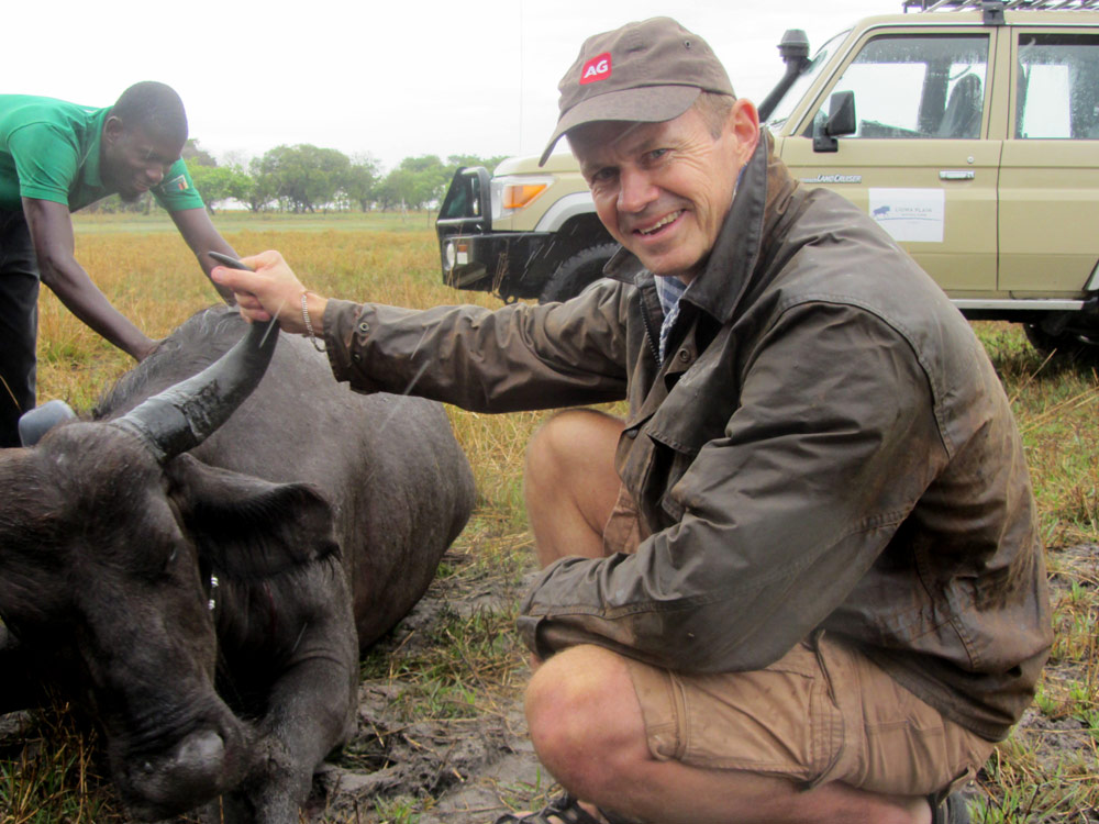 liuwa buffalo zambia