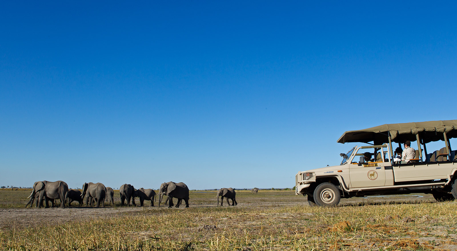 elephant-botswana-safari