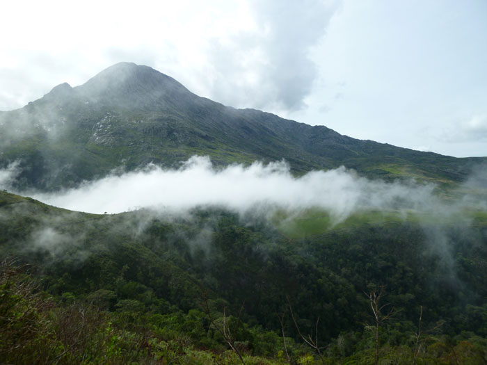 Climbing Malawi's Mt Mulanji - Africa Geographic