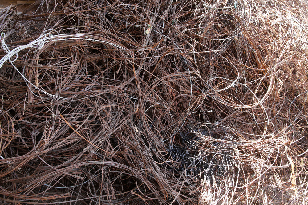 snares poaching serengeti