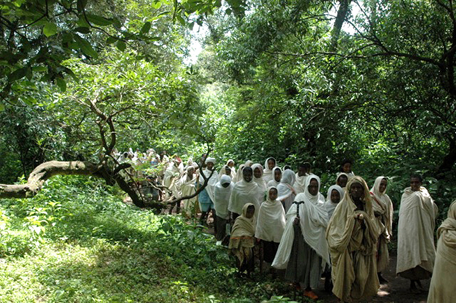 Ethiopia's church forests