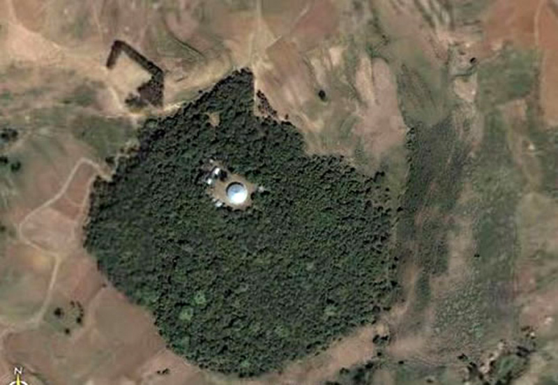 Ethiopia's church forests