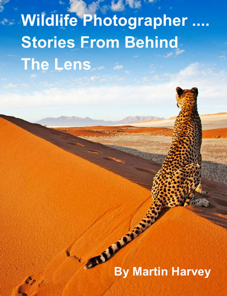 Book Review: Wildlife Photographer… Stories from Behind the Lens