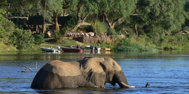 Anti mining In Lower Zambezi Group Sees Victory Africa Geographic