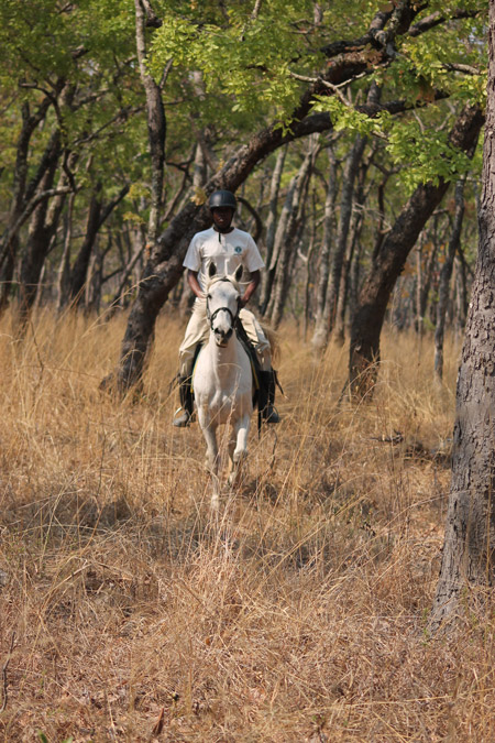 Bangweulu