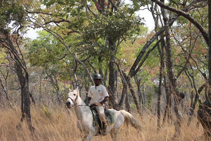 Bangweulu