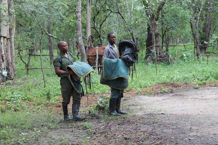 Bangweulu