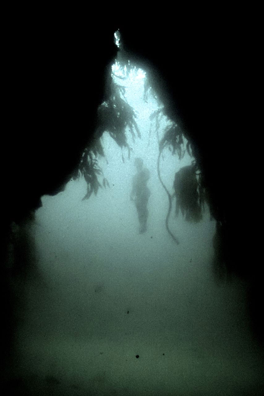 wild-swimming-cave