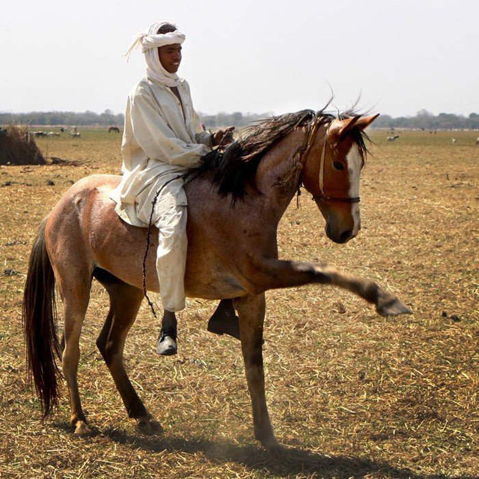 Zanne Labuschagne nomad-stallion-zakouma-ranger-patrols