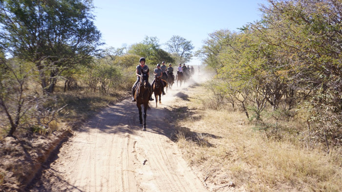 Game census safari on horseback