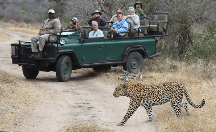 safari vehicle safety