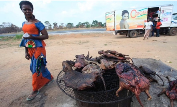 Is It Time To Bring Back Bushmeat Africa Geographic