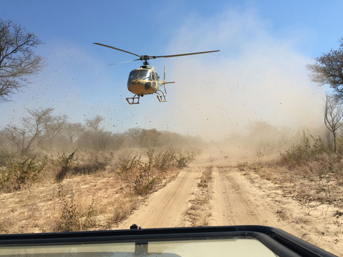 Guide comes face to face with Botswana’s anti-poaching military ...