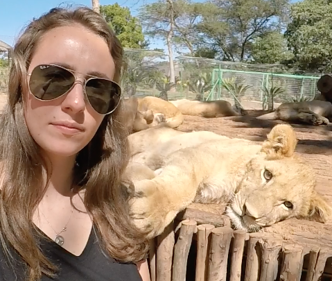 lion cub petting