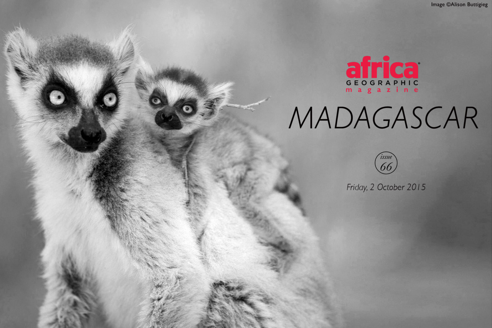 Madagascar-cover-2