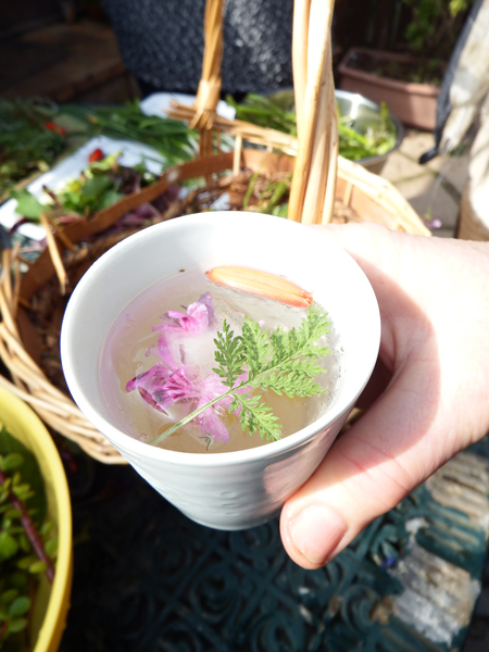 Edible indigenous plants