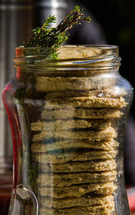 Edible indigenous plants © Gabrielle Holmes