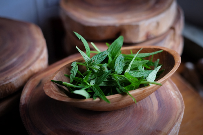 Edible indigenous plants