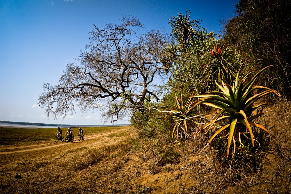 iSimangaliso