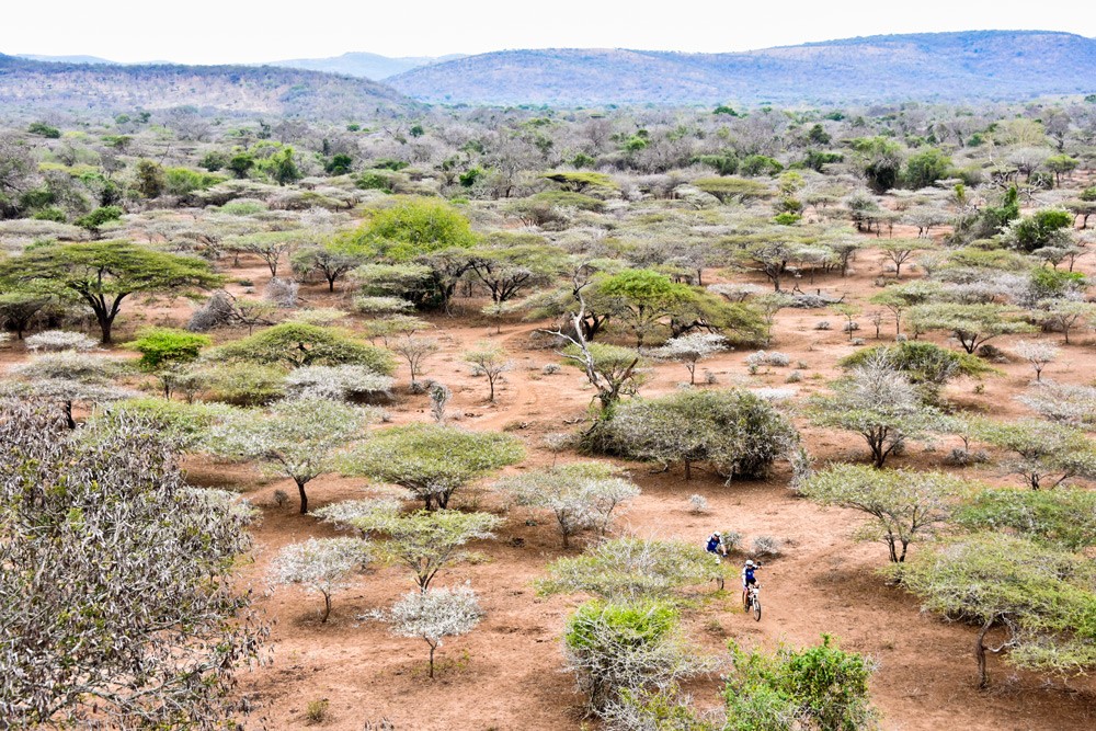 iSimangaliso