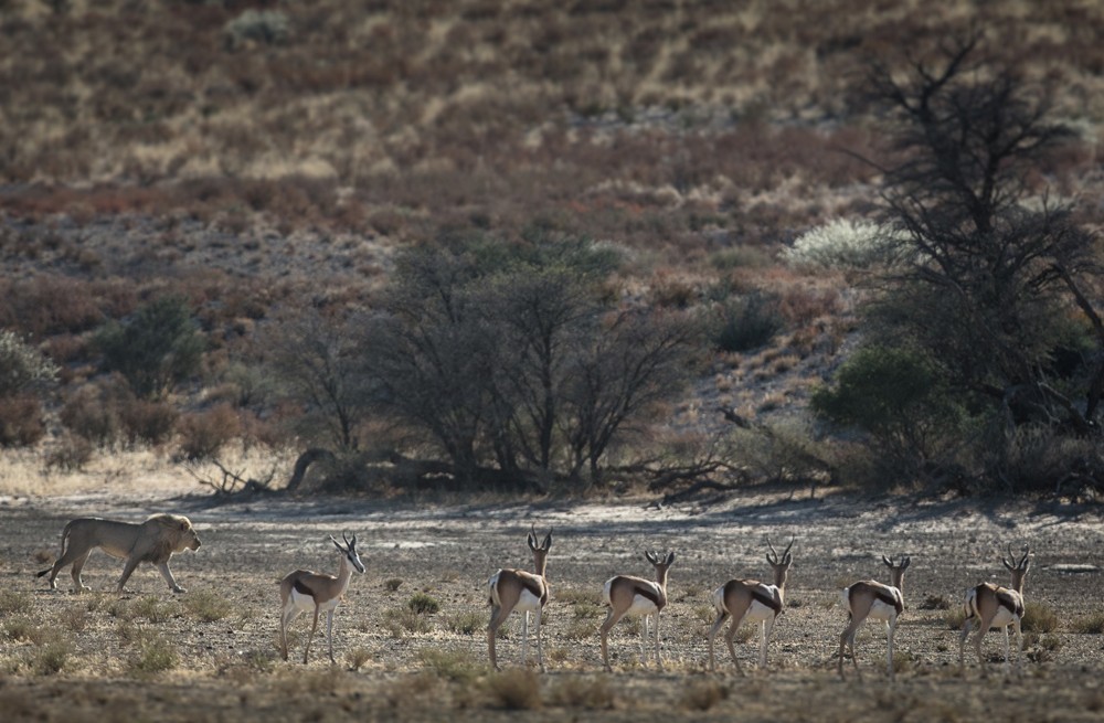 Namibia