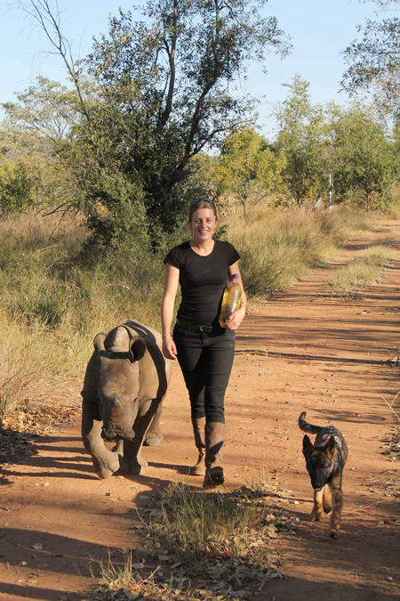 baby rhinos