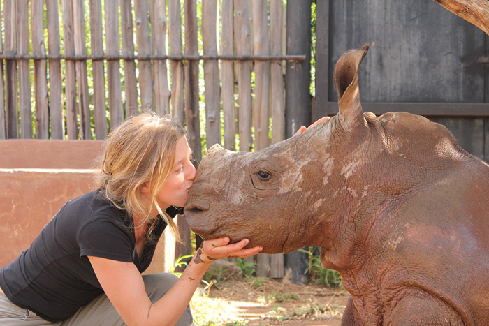 baby rhinos