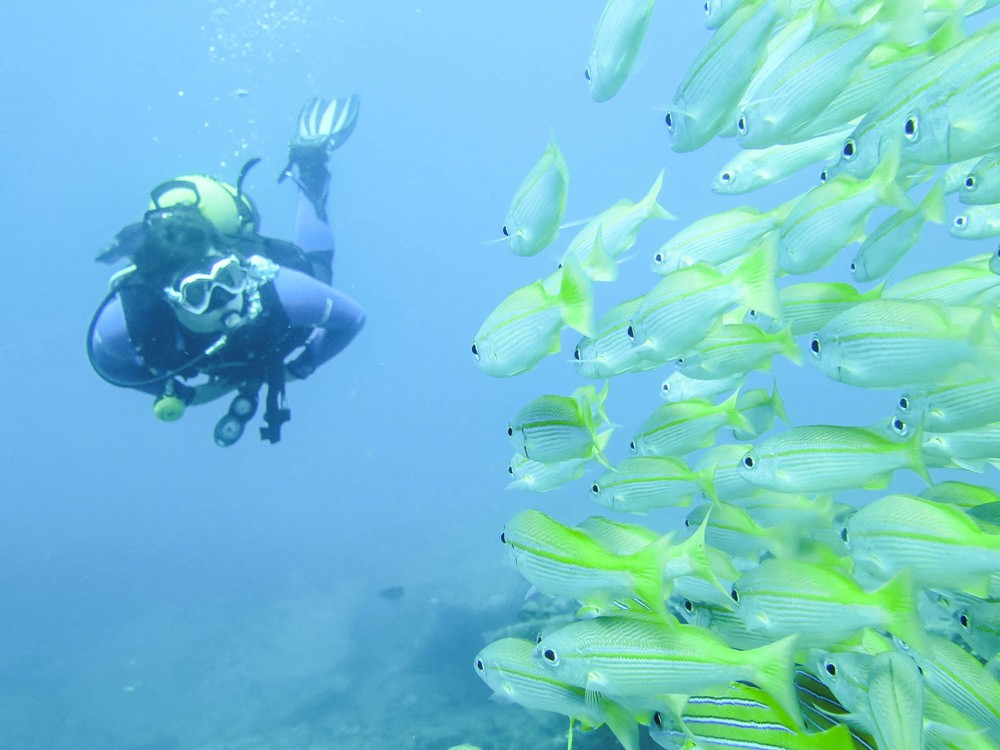 There’s so much to see both above and below the water ©Scott Ramsay, LoveWildAfrica.com