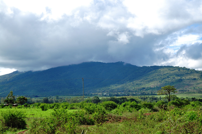 Kenya's 14 Falls now a dumping ground - Africa Geographic