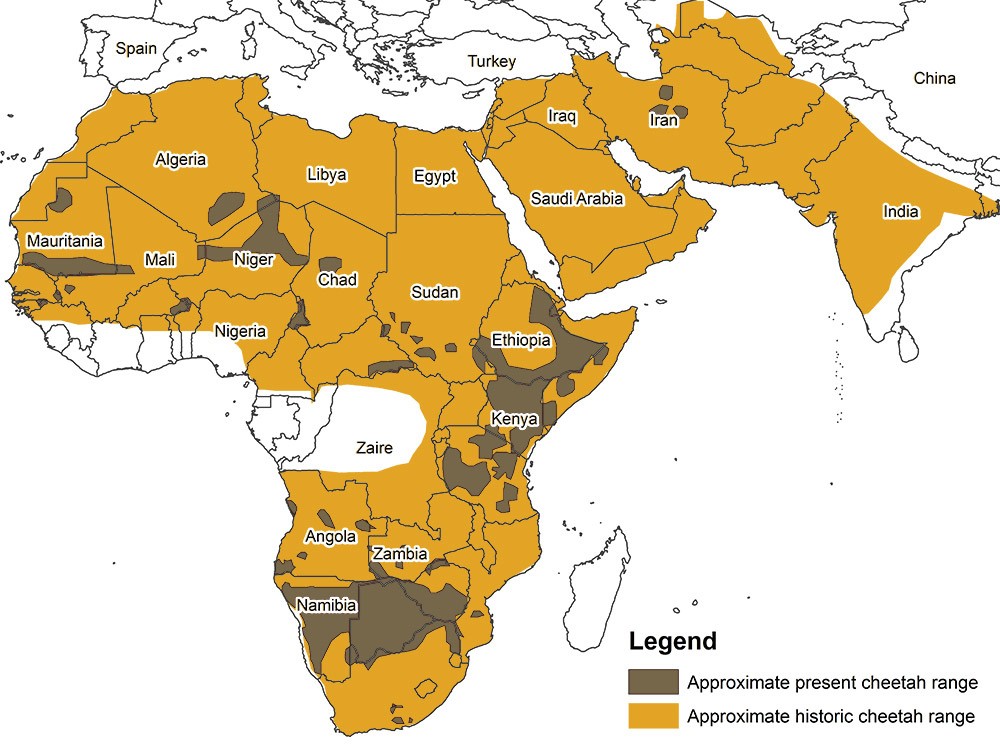 cheetah-conservation-fund-range-map