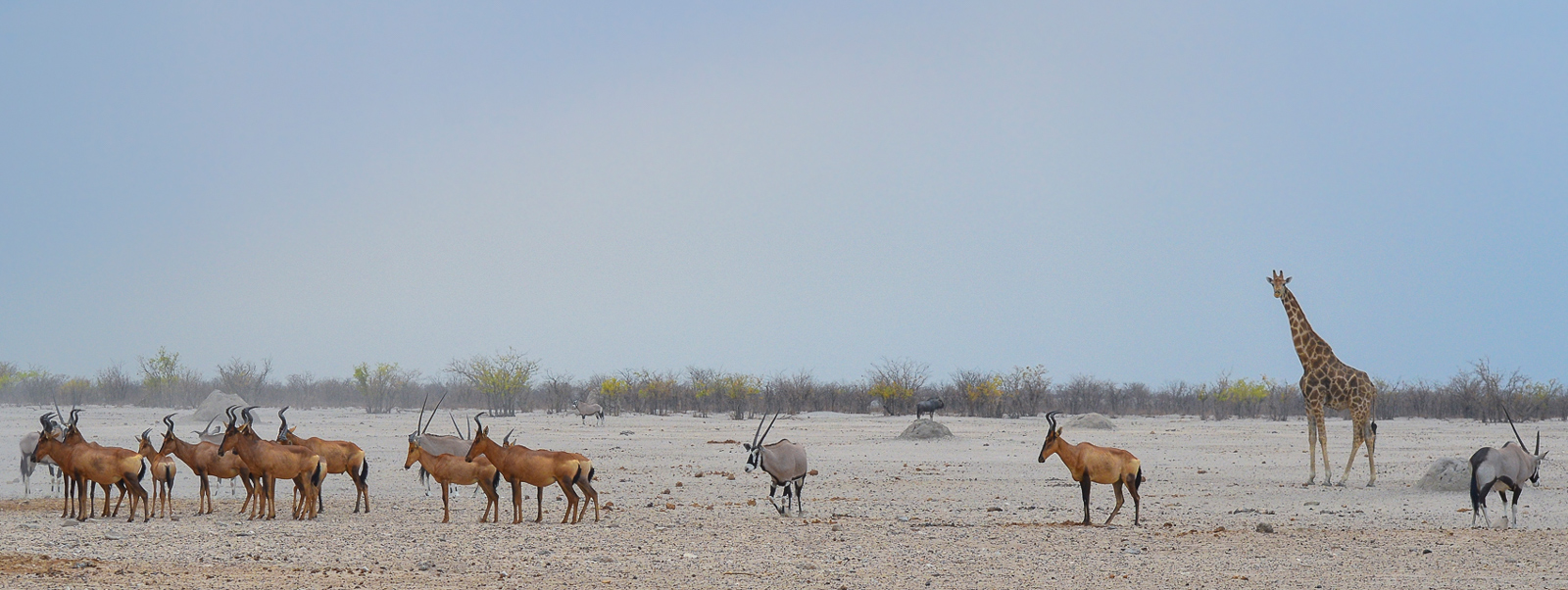 The recently opened western side of the park ©Anja Denker