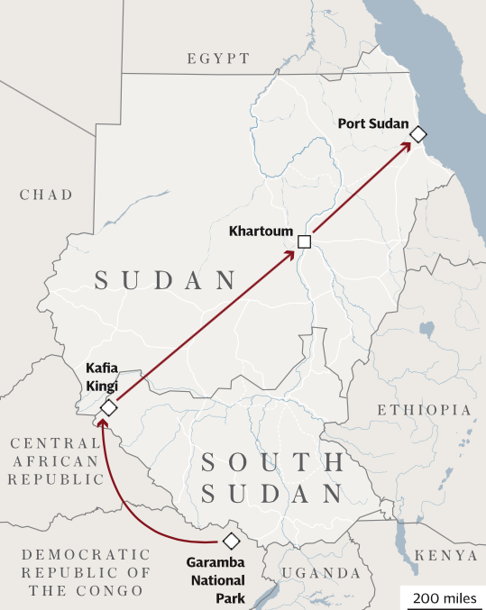 Ivory Trade Route Africa Geographic   Ivory Trade Route 