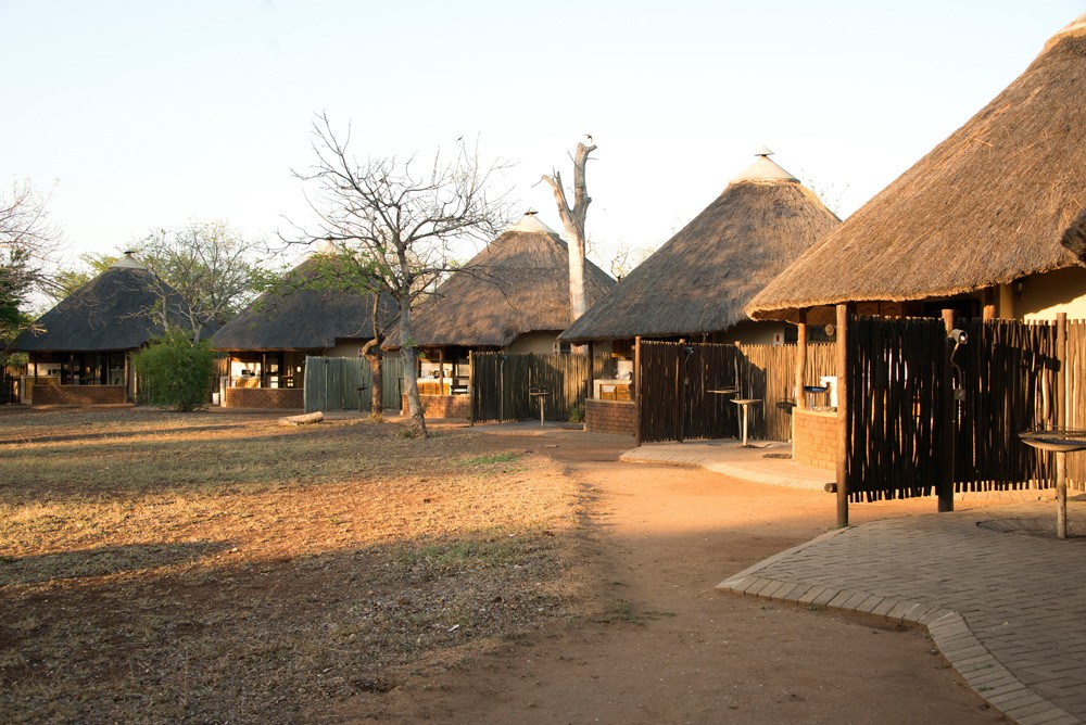 satara-camp-kruger-sally-robinson