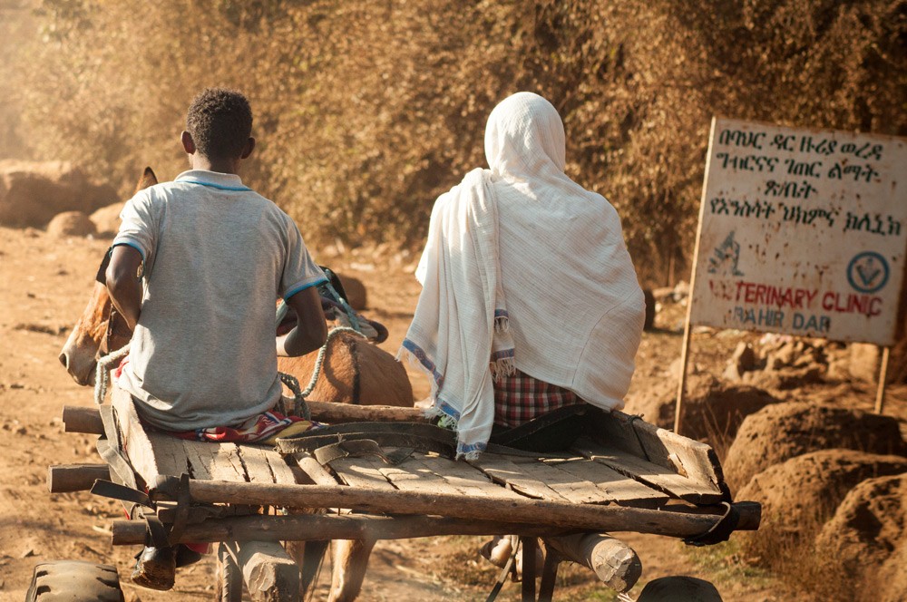 Getting around in Bahir Dar ©Luca Zanon