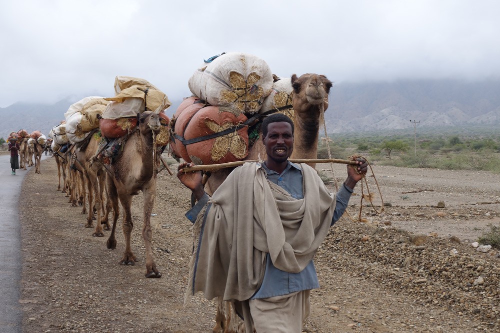 Ethiopian transport ©Itay Chen