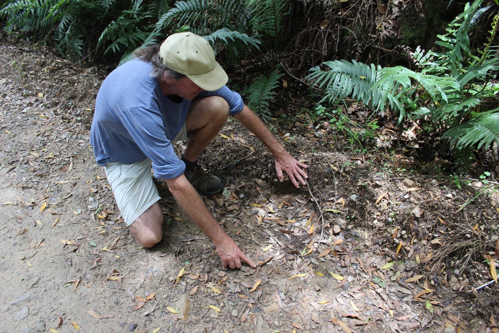 gareth-patterson-measuring-elephant-footprint