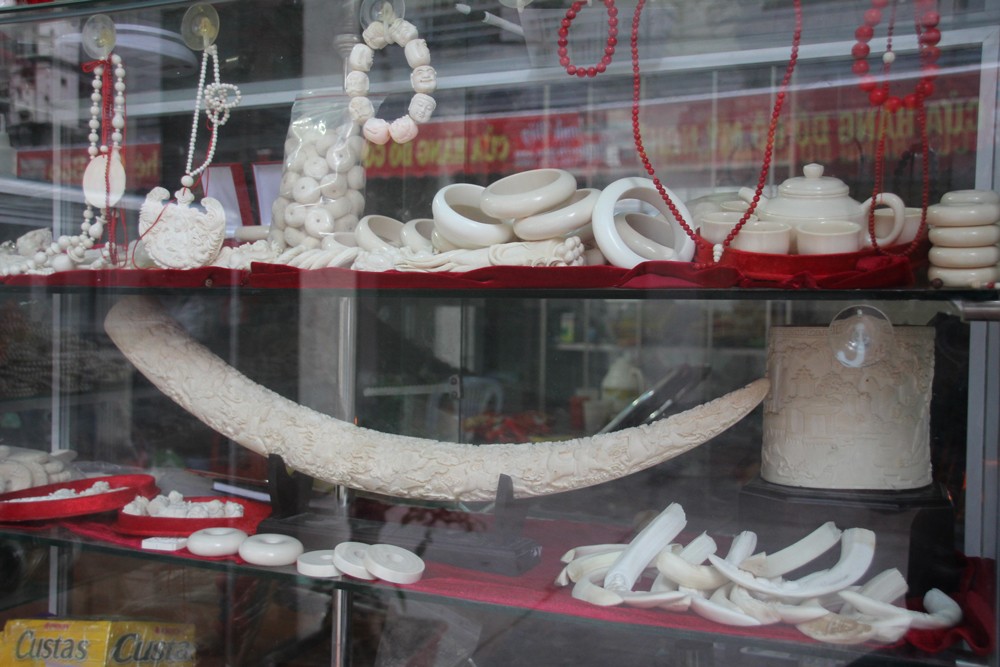open-sale-of-ivory
