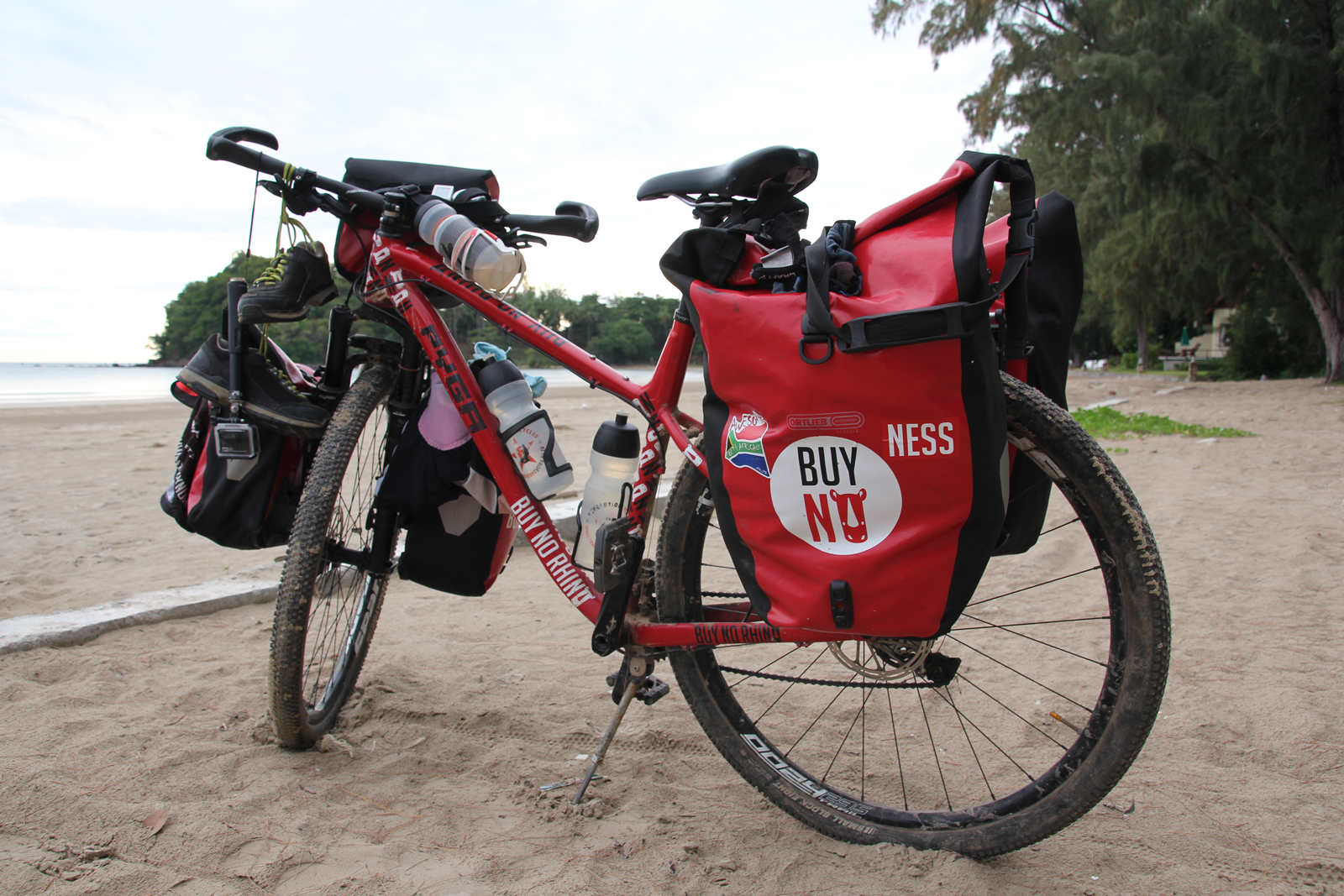 buy-no-rhino-bicycle