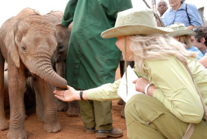 david-sheldrick-elephant-centre