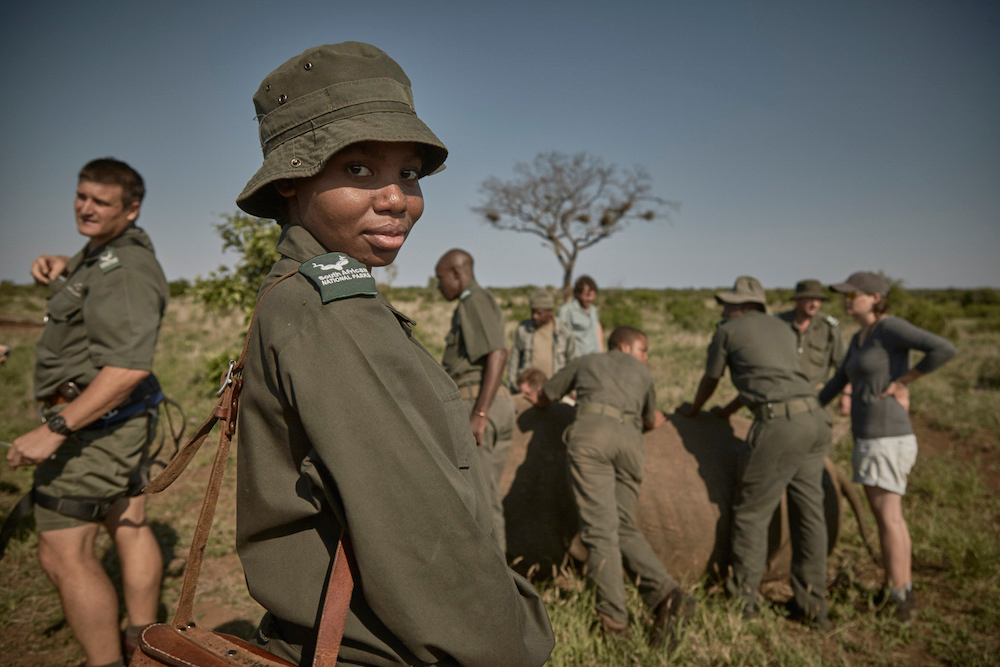 Rhino rangers