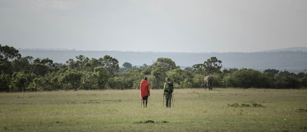Stuart and Joseph come across a lone elephant bull ©Stuart Price, Make It Kenya