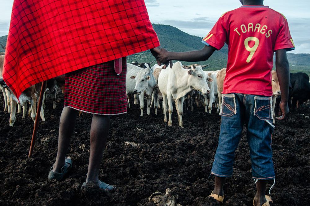 maasai-cattle-holding-hands-stuart-butler