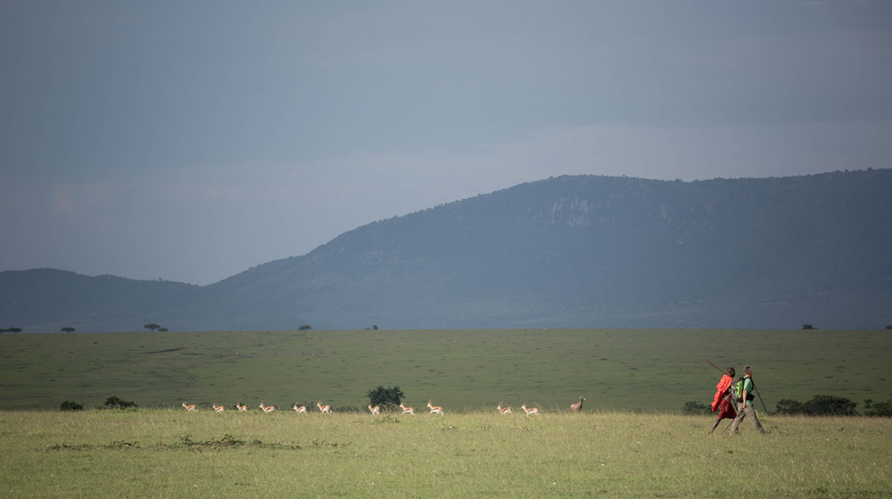 walking-maasai-gazelle-stuart-price-make-it-kenya