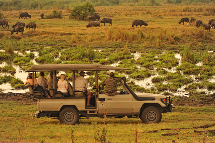 What you need to know before a safari in Zimbabwe - Africa Geographic