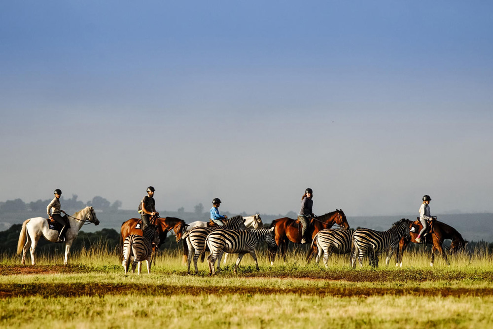 Horseback safaris are a great way to explore the wilds of Swaziland ©Big Game Parks Swaziland