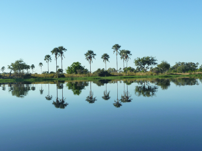 Okavango Delta safari