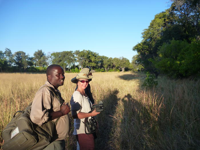 African safari