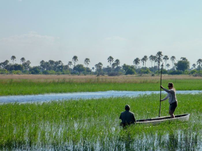 Okavango Delta safari